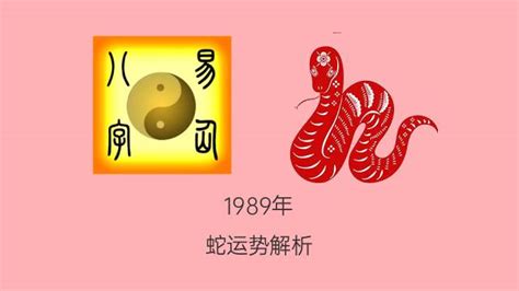 89屬什麼|1989年属蛇是什么命，89年出生五行属什么